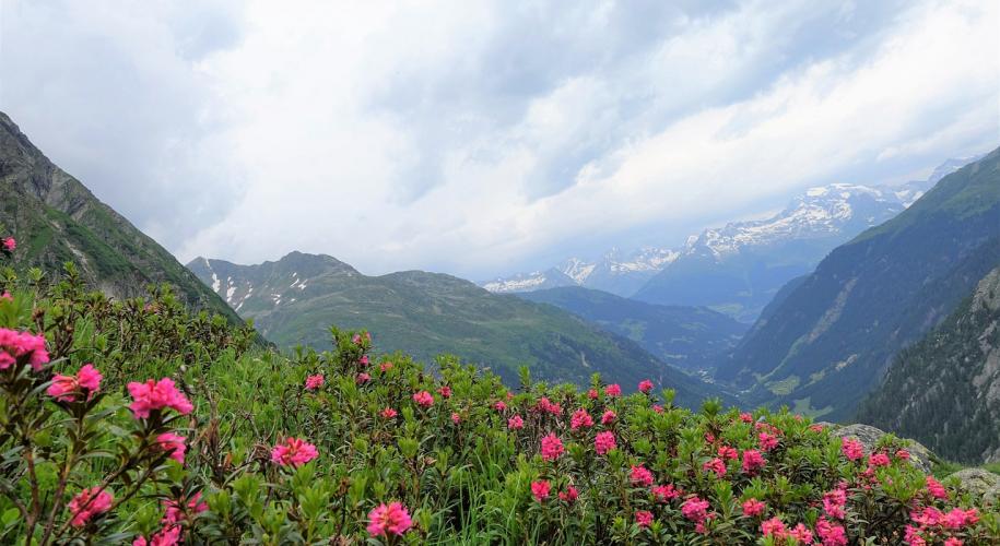 Graubünden | Hiking Advisor