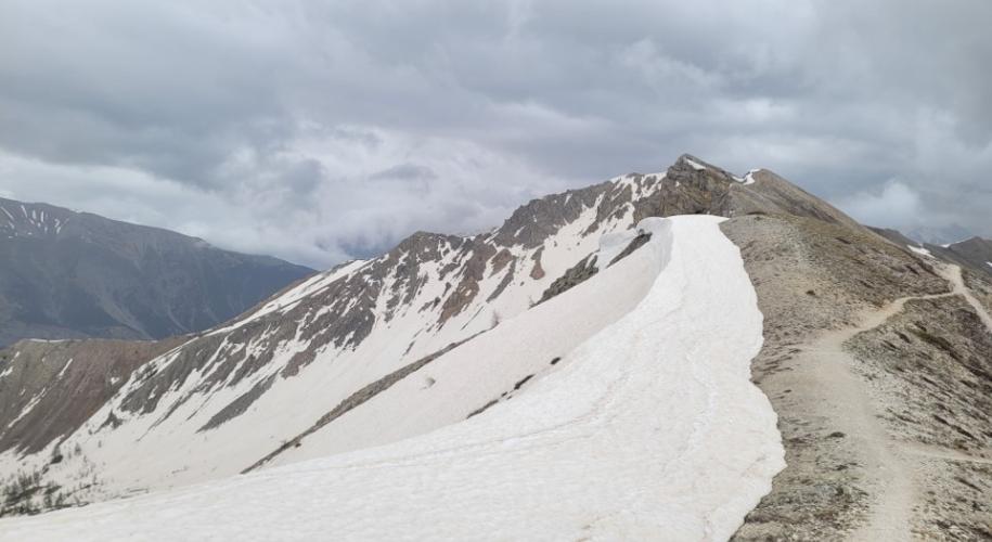 GR5 : variante boven Briançon, half juni