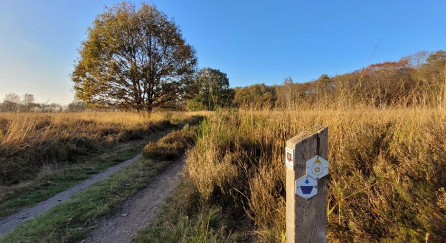 Langs de NP Hoge Kempen Trail