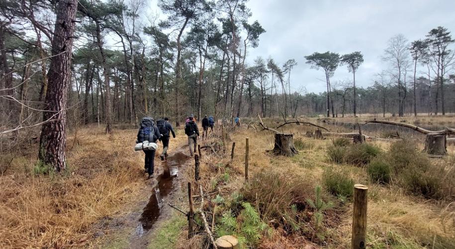 wandelaars bij einhoven