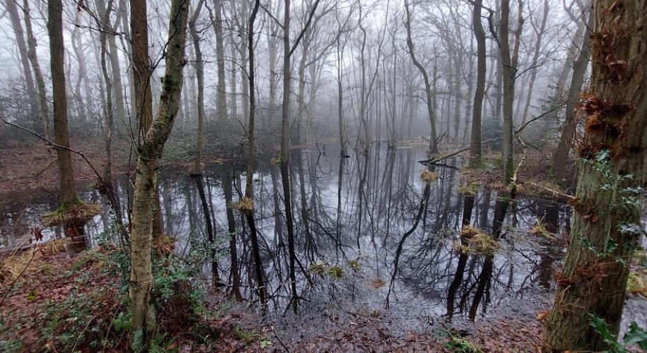 winterse weerspiegeling