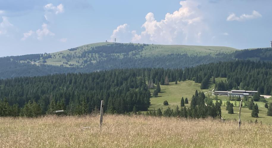 Feldberg